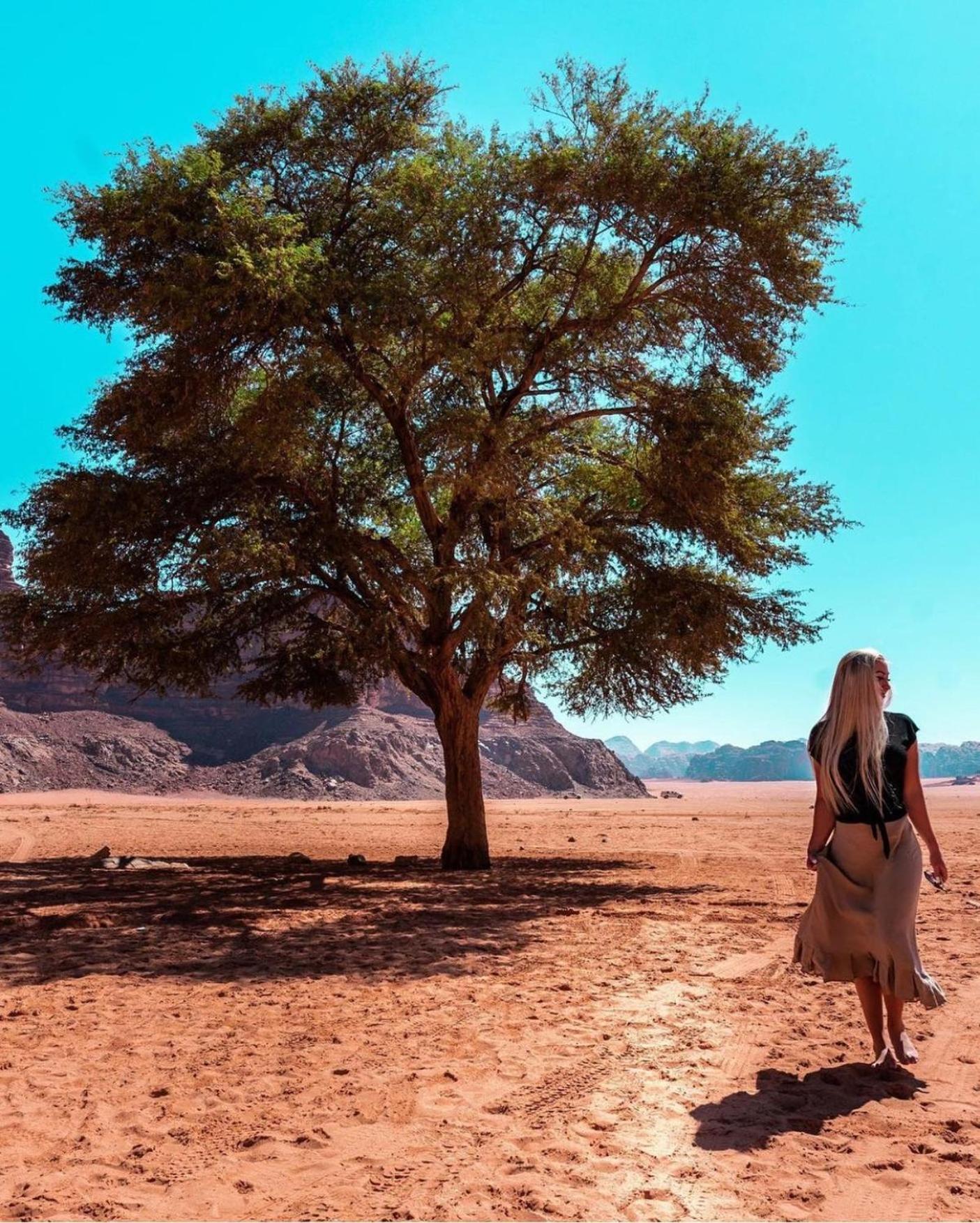Bedouin Bunch Camp Hotel Wadi Rum Eksteriør billede