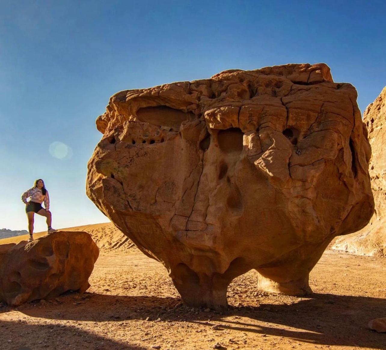 Bedouin Bunch Camp Hotel Wadi Rum Eksteriør billede