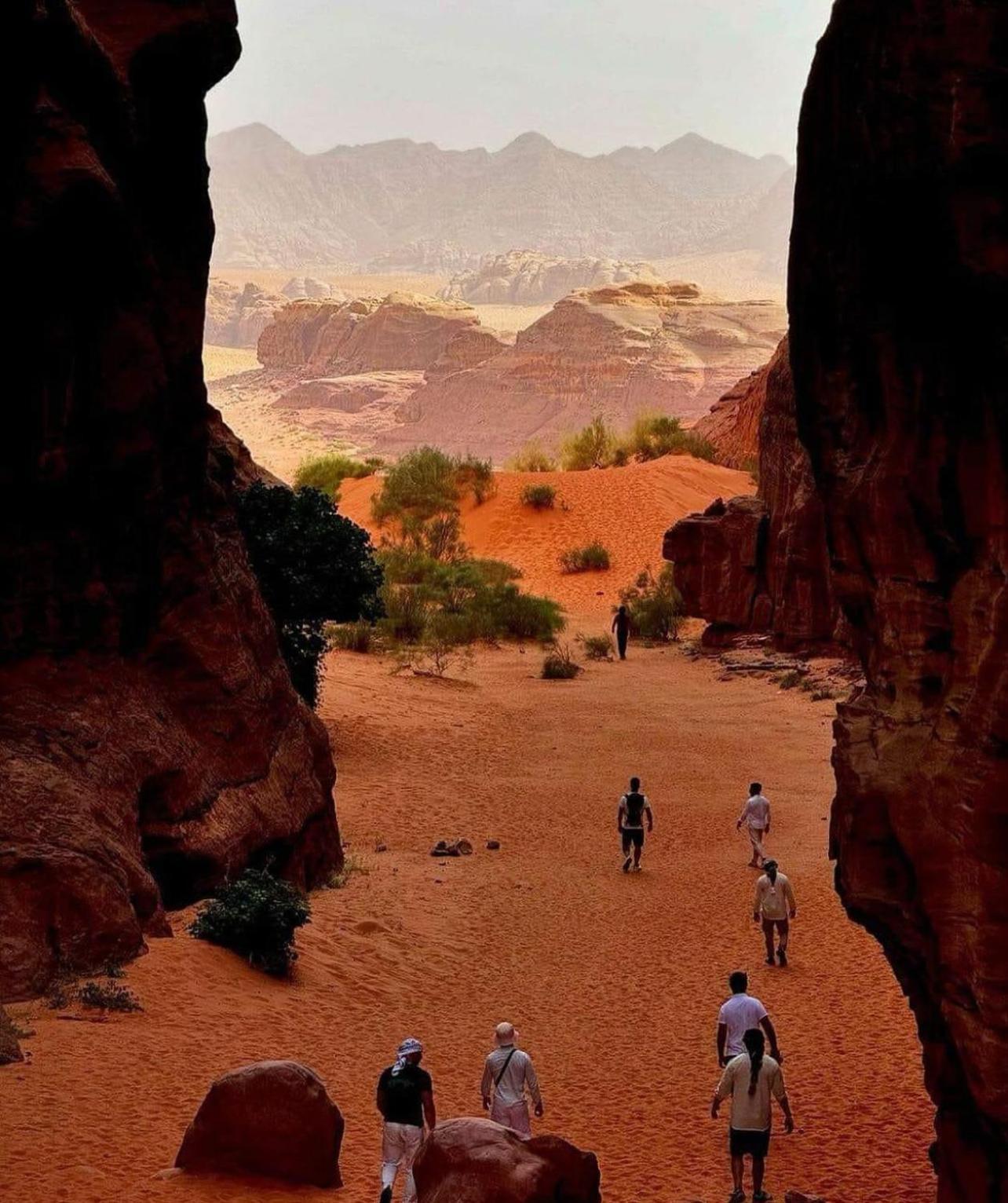 Bedouin Bunch Camp Hotel Wadi Rum Eksteriør billede